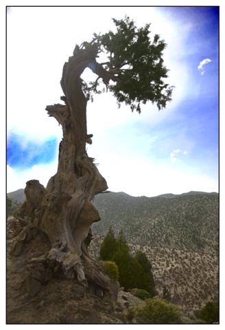 toubkal 181 (Small).jpg